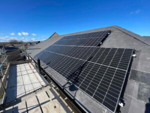 Solar Panel & Battery Installation with Bird Protection