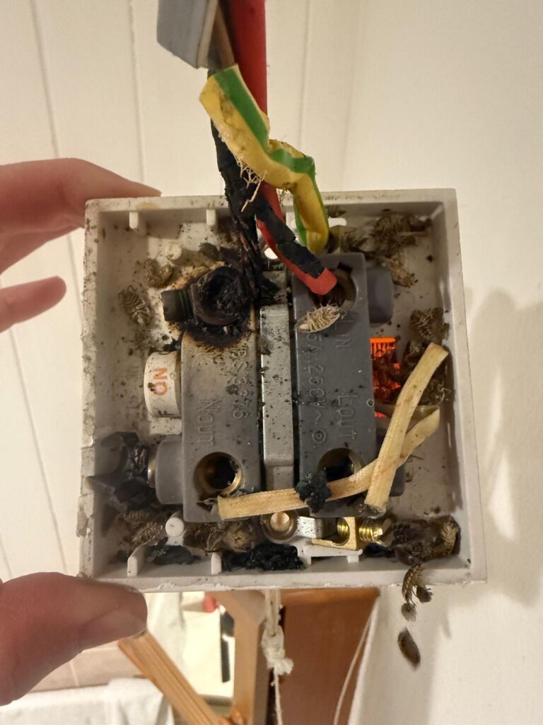 Electrical Remediation Works at Landlord Cottage in Kirby Hill